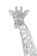 giraffa Pagine Di Culore Stampabile